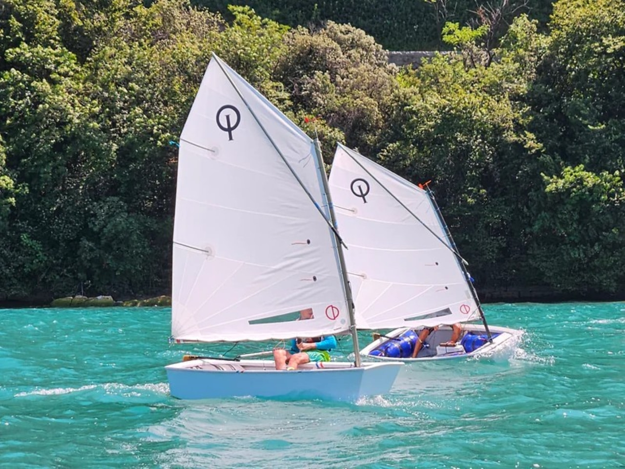 Segel CD Sails Semiradial Cut Optimist