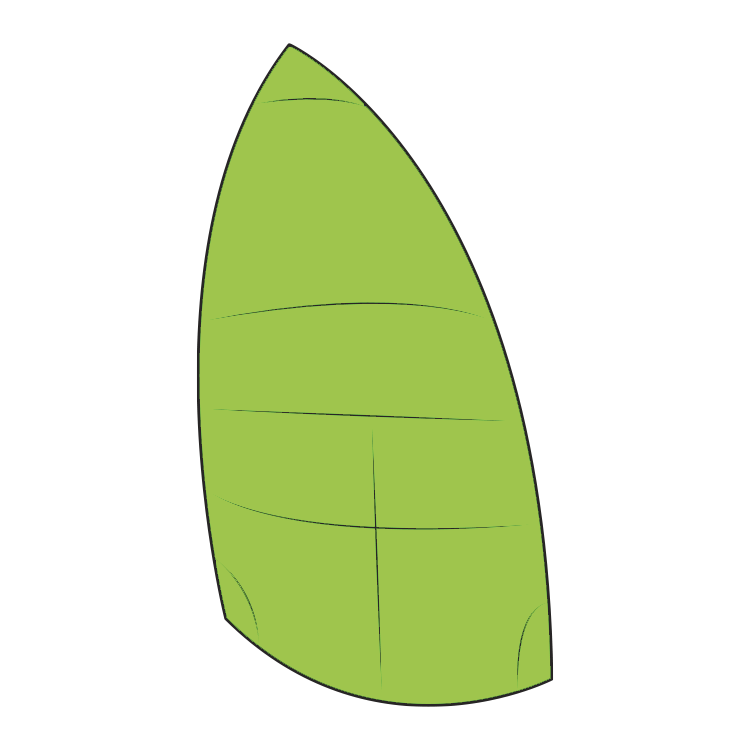 quest-gennaker-que-sa-300 RS Quest Gennaker