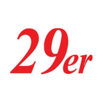 29er segelfertig, Standard Mast, Allen Beschläge, Harken Knarrblock