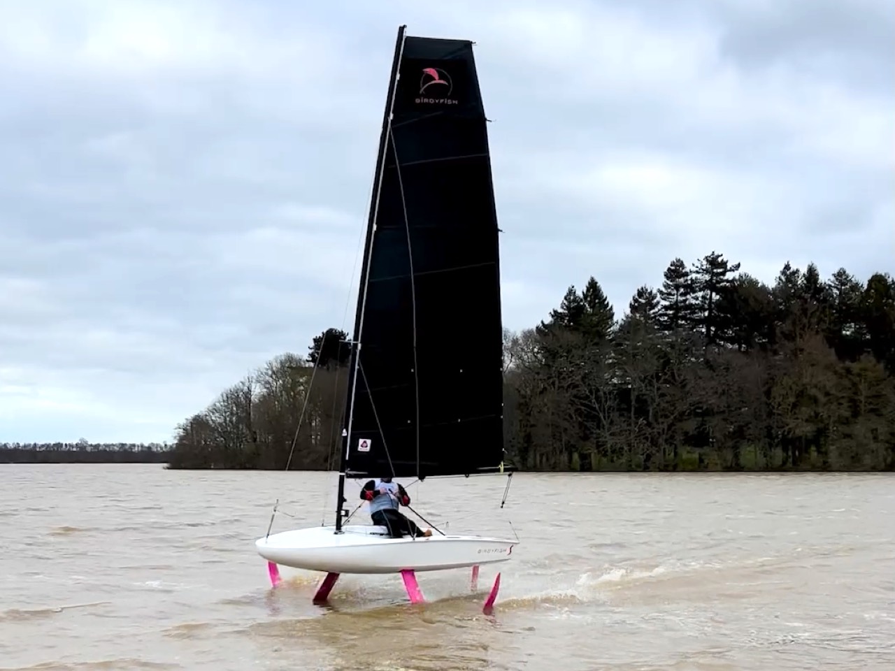 BirdyFish S Dacron segelfertig mit Transporträdern